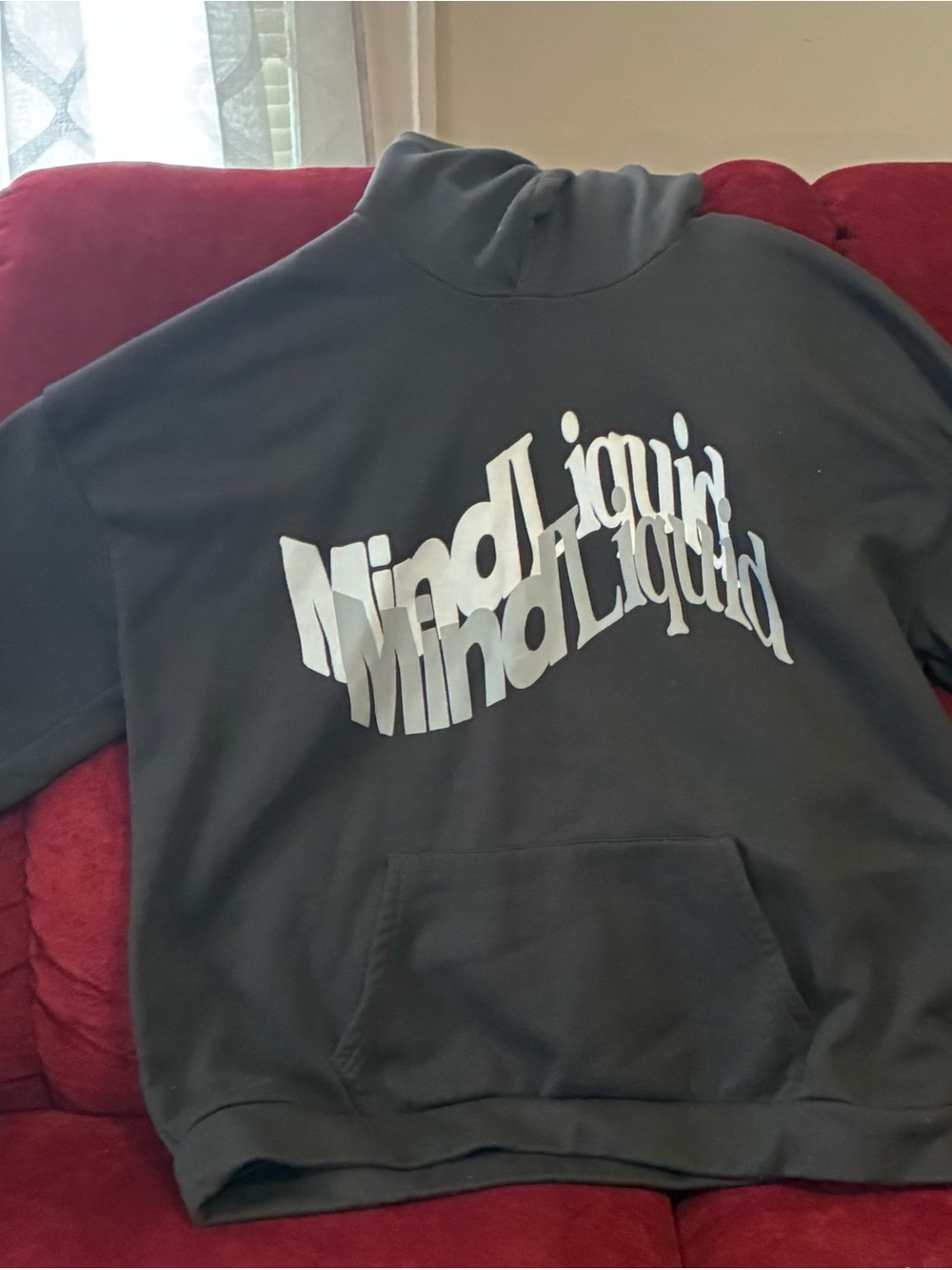 Gray hoodie